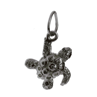 Tortoise Treasure Hunter Charm